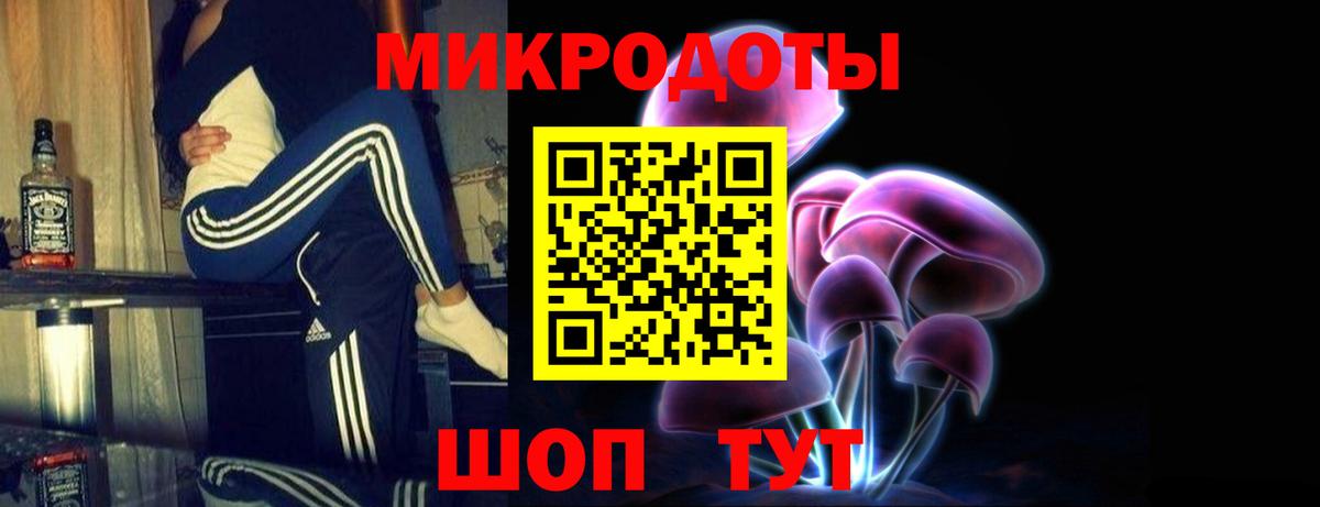 Галлюциногенные грибы MAGIC MUSHROOMS  Вход с VPN  Курганинск  Галлюциногенные грибы MAGIC MUSHROOMS 